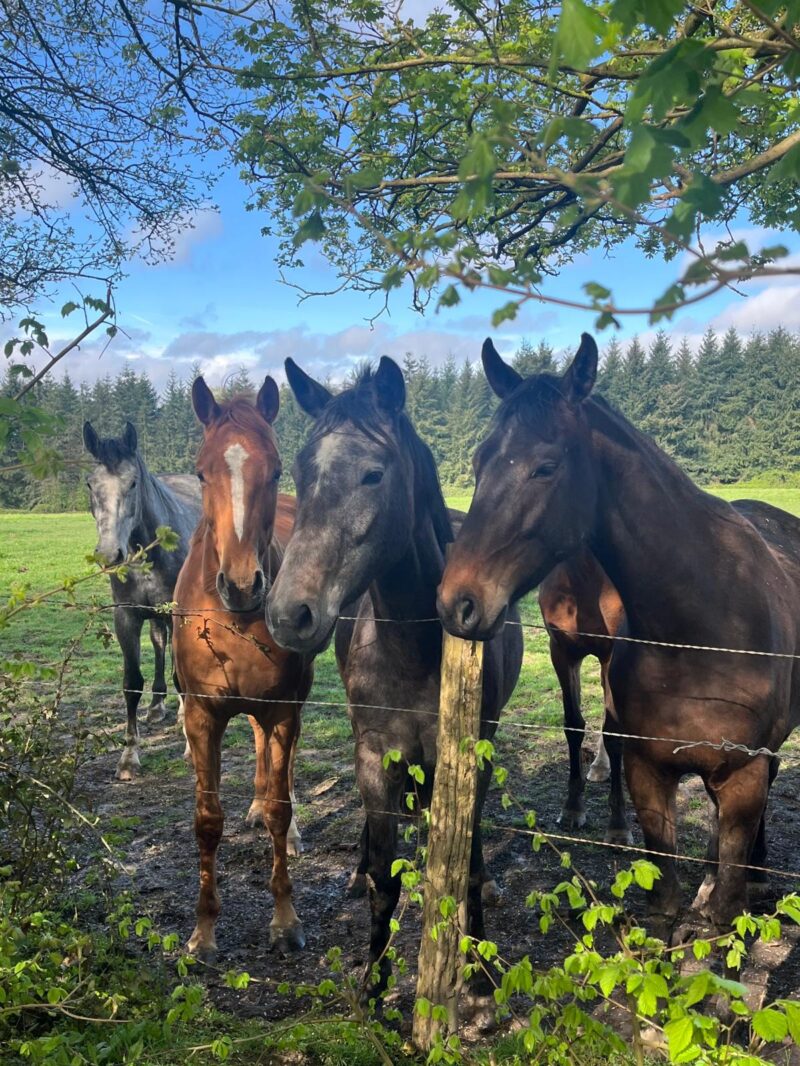 8b02e881-b560-422b-8655-afb7110b4d16