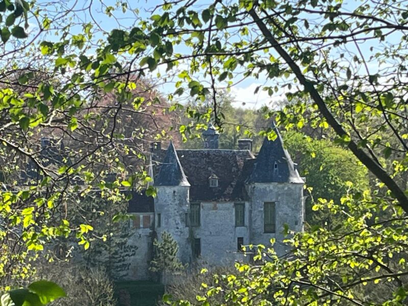 e7df12a0-346a-4297-be12-0ec94409428f