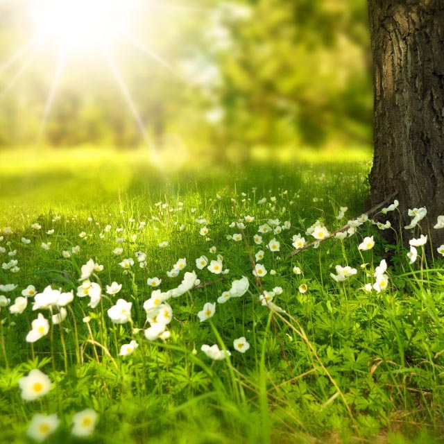 séjour nature