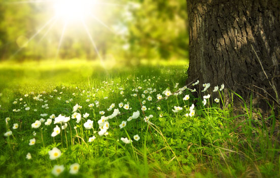 pourquoi jeûner au printemps