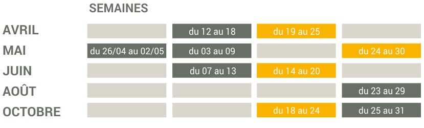 Planning dates 2025