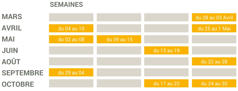 Planning dates-2026-4